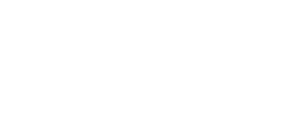 Jochen Schweizer Logo